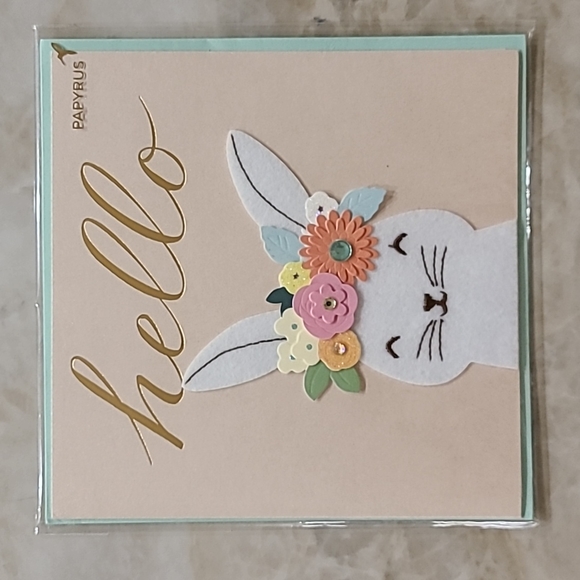Papyrus Party Supplies Papyrus Friendship Bunny Rabbit Hello Card
